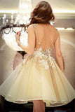 2024 Open Back Robes Homecoming A Line Scoop With Applique