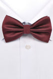Polyester Mode Bow Tie Bourgogne