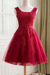 2022 New Arrival A Line Scoop Tulle &amp; Appliques Robes Homecoming Avec Sash