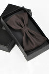Polyester Mode Bow Tie chocolat