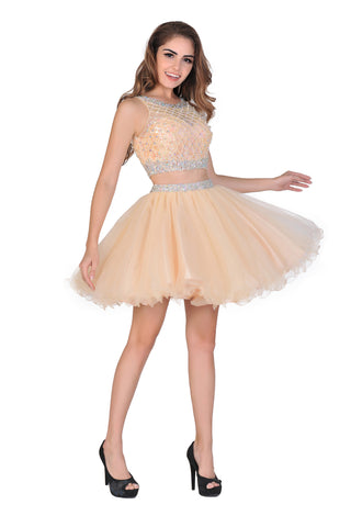 2022 A-Line Homecoming Robes Short / Mini Scoop perlée Bodice Tulle
