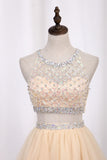 2024 Homecoming Robes Scoop A-Line perlée Bodice Tulle Short / Mini