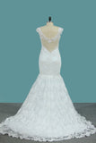 2024 Robes de mariée Bretelles sirène en tulle avec train de balayage appliqué