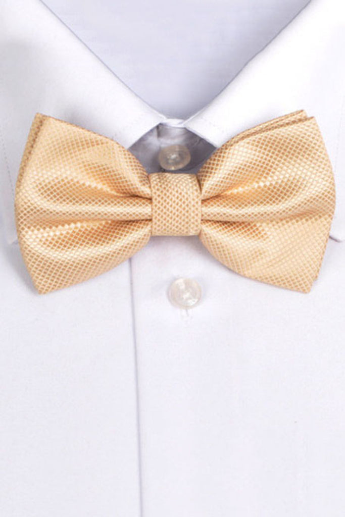 Polyester Mode Bow Tie Champagne