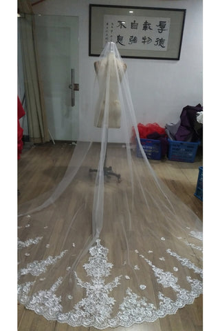 Voiles de mariée élégants de 3 mètres avec appliques et peigne